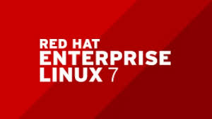 White Paper: Enterprise Linux Servers: A Robust Foundation for ERP and MIS Applications in SMBs